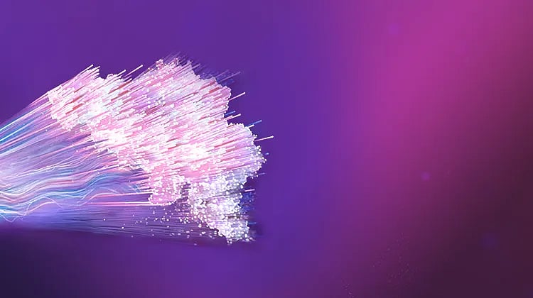 <div class="paragraphs"><p>(Photo source: Proximus Group website)</p></div>