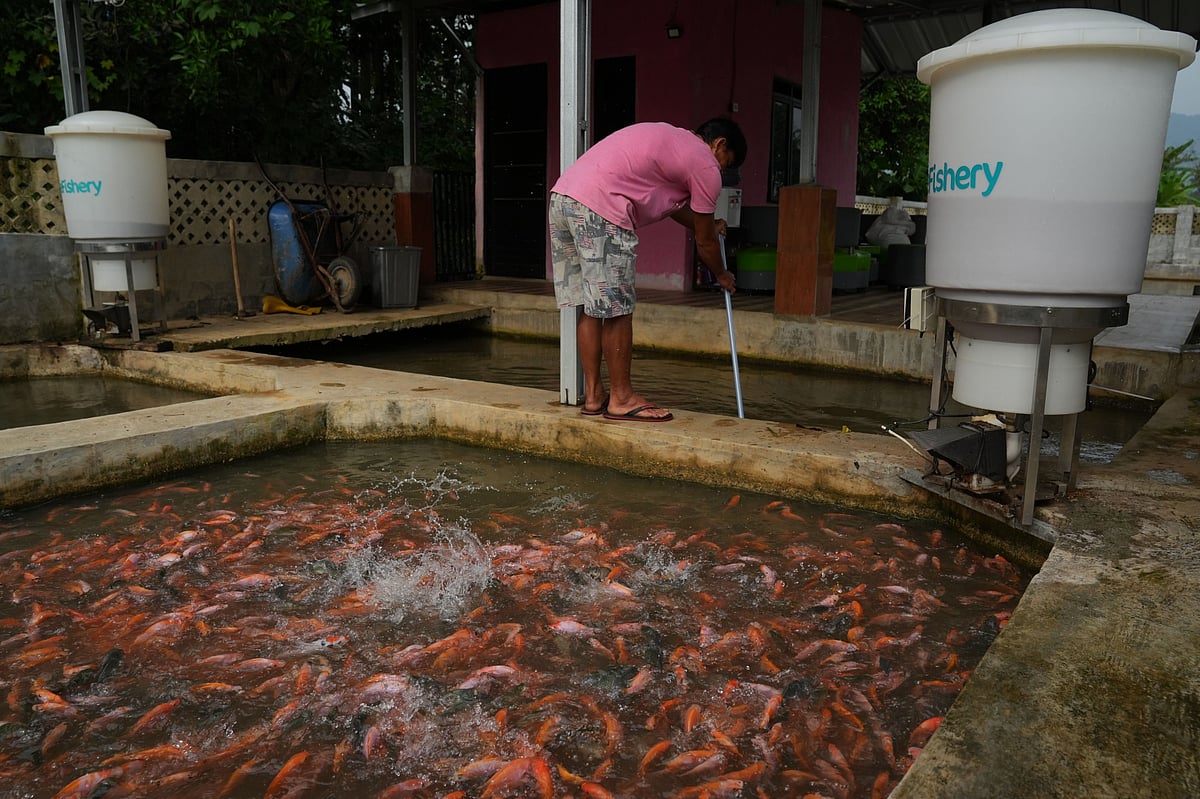 An eFishery feed dispenser at a fish farm in Subang Regency in West Java.Photographer: Dimas Ardian/Bloomberg
