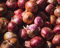 Government Says Onion Prices Moderating As Good Rains Boost Kharif Crops