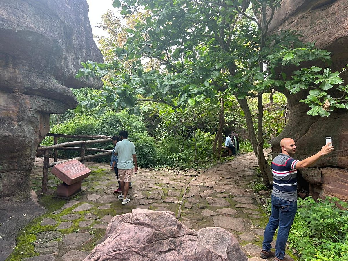 <div class="paragraphs"><p></p></div>