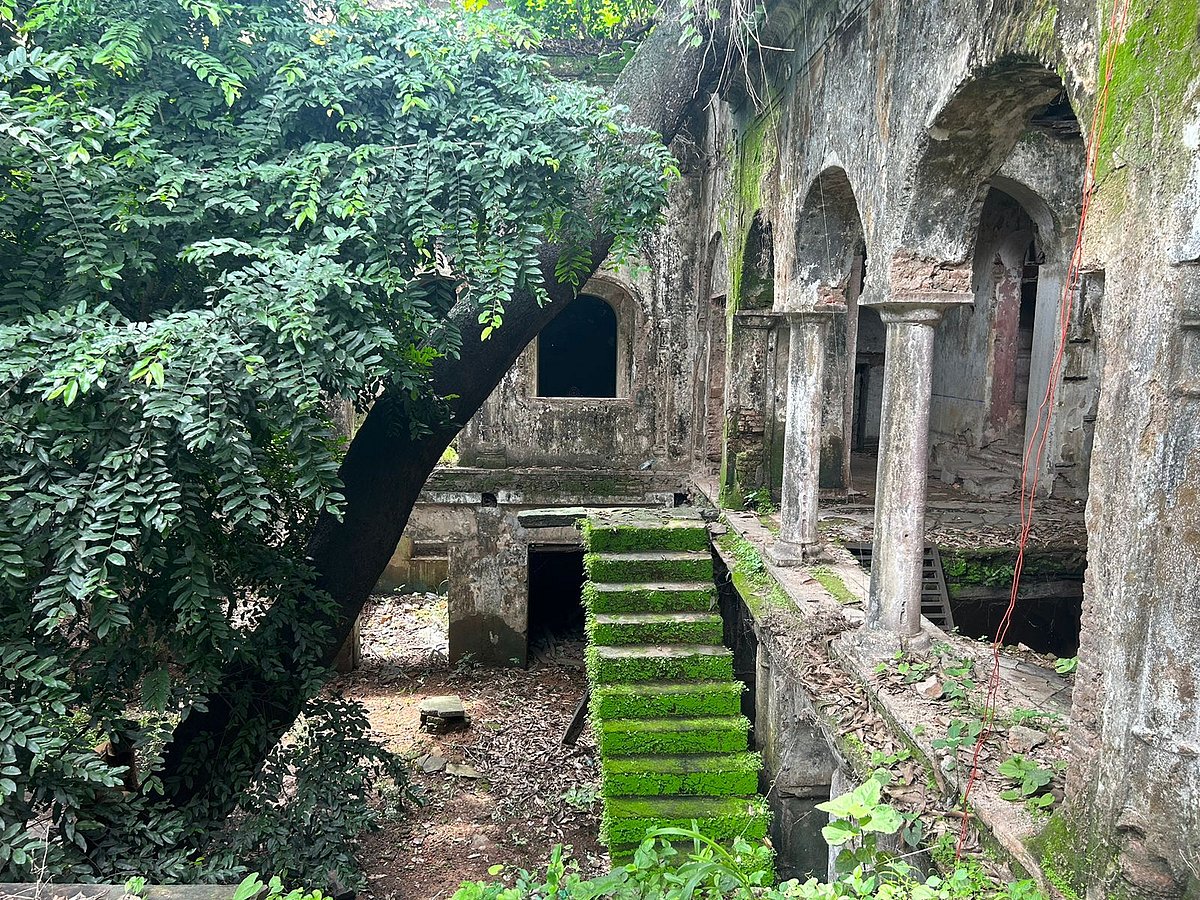 <div class="paragraphs"><p>(Source: Pallavi Nahata/BQ Prime)</p></div>