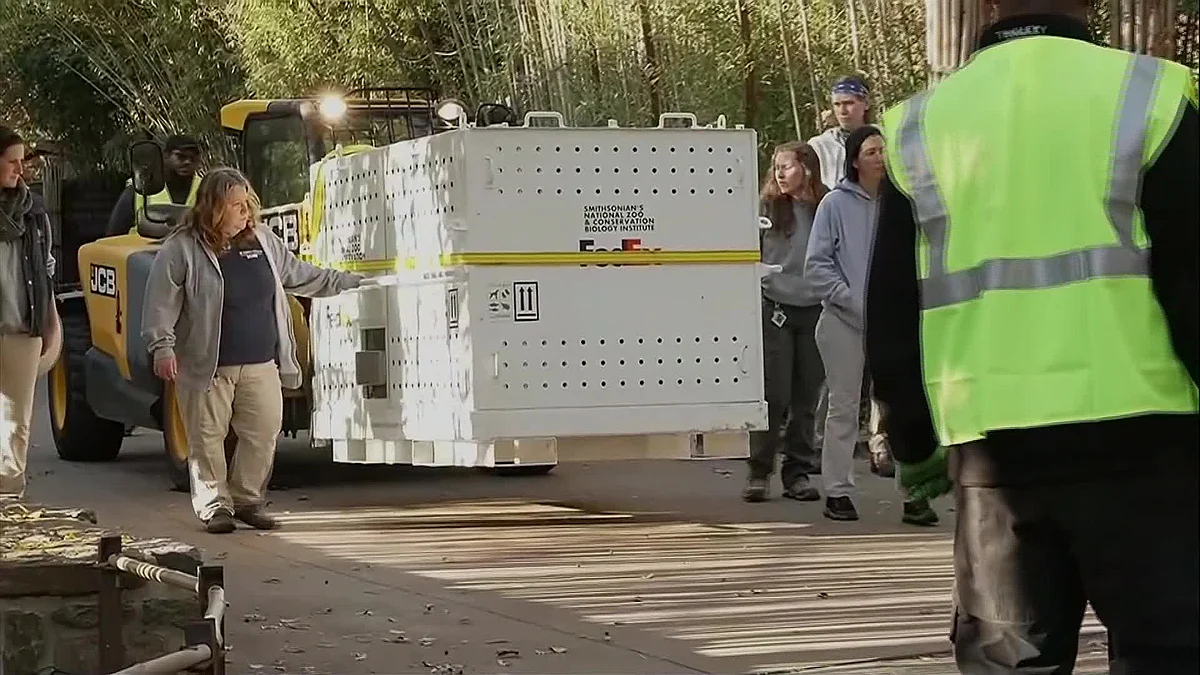 Three giant pandas have left the Smithsonian National Zoo in Washington and are heading back to China. Giant Pandas Mei Xiang, Tian Tian and Xiao Qi Ji were wheeled out on Wednesday morning. Source: Bloomberg