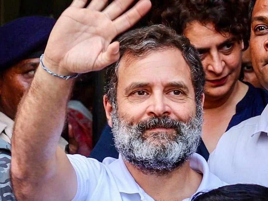 <div class="paragraphs"><p>(Source: Rahul Gandhi/X)</p></div>