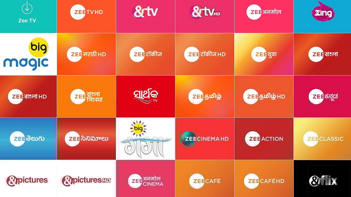 <div class="paragraphs"><p>Various channels run by Zee Entertainment Enterprises. (Source: Company website)</p></div>