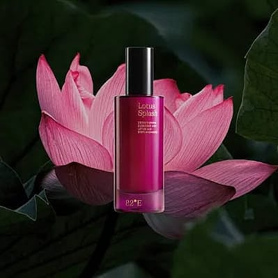 <div class="paragraphs"><p>82e website</p></div>