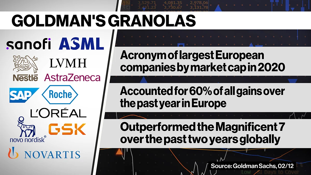 WATCH: Goldman’s Sharon Bell discusses the “GRANOLAS.”
