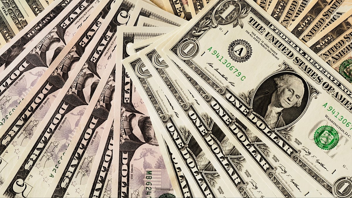 <div class="paragraphs"><p>(Source: Unsplash)</p></div>