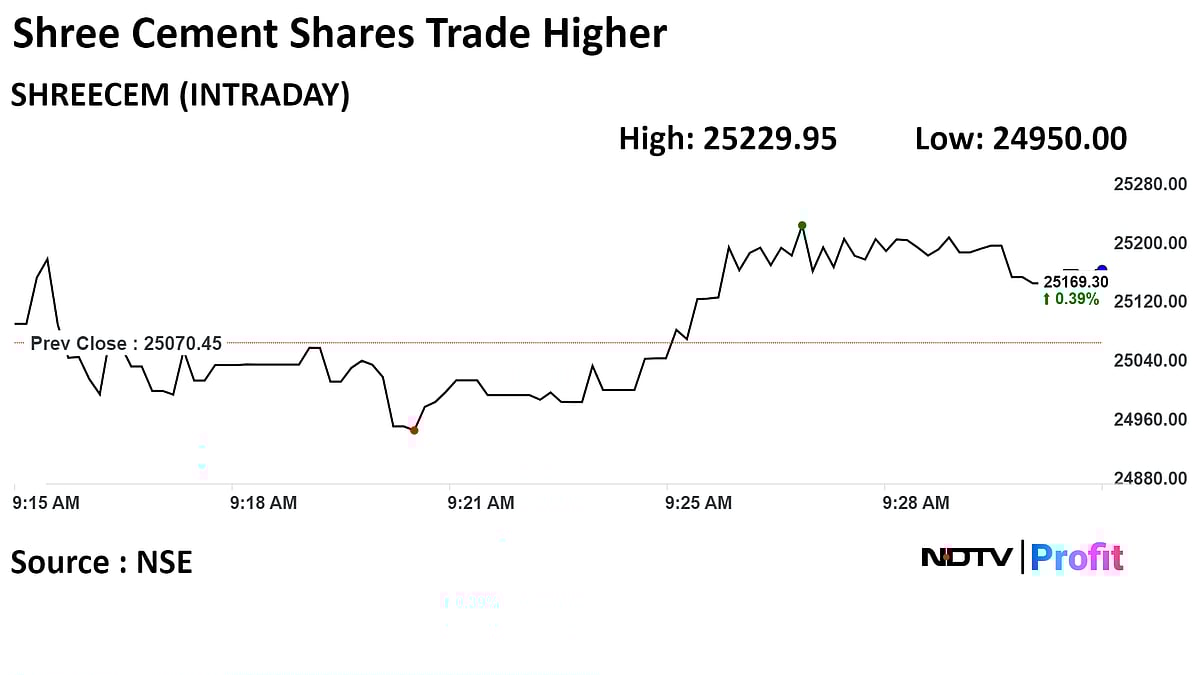 Shree Cement Upgraded To 'Buy' By Citi On Double-Digit Volume Growth Hopes