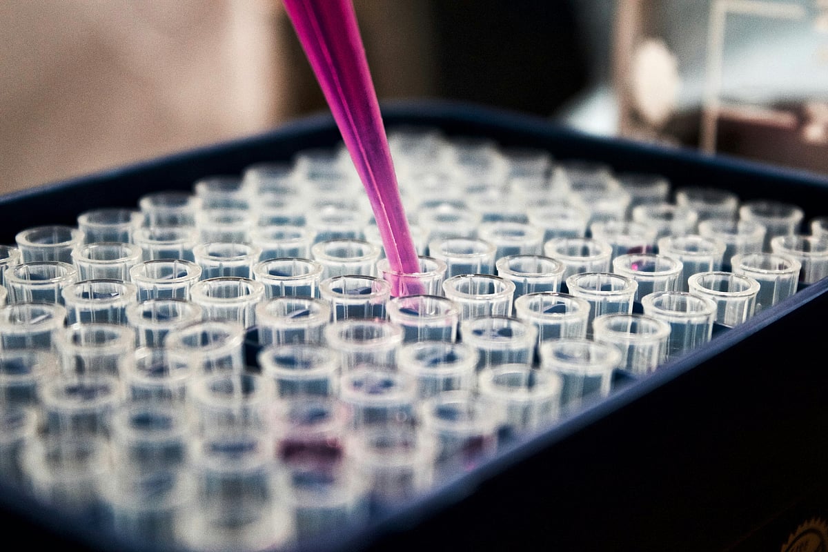 Tata Chemicals Q4 Results: Reports Net Loss, Misses Estimates