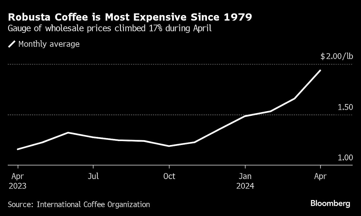 Coffee Variety Is Priciest Since 1970s In Blow To Instant Brews