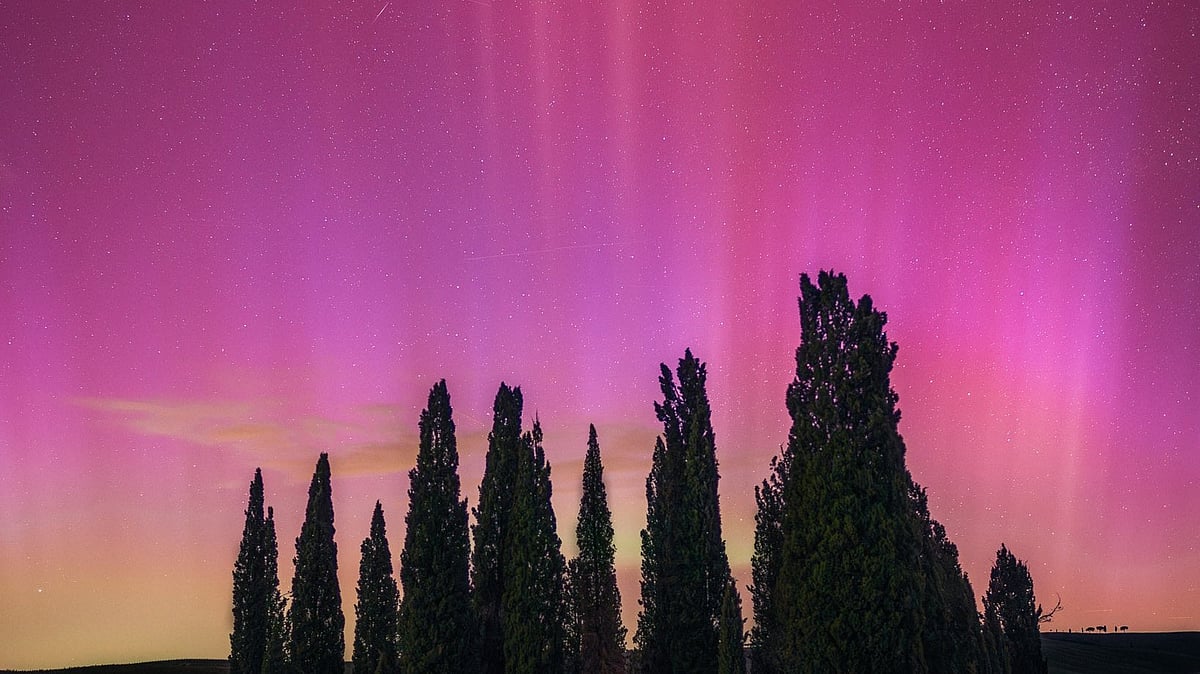 Starlink's Satellite Under Pressure Due To Solar Storm, Says Elon Musk