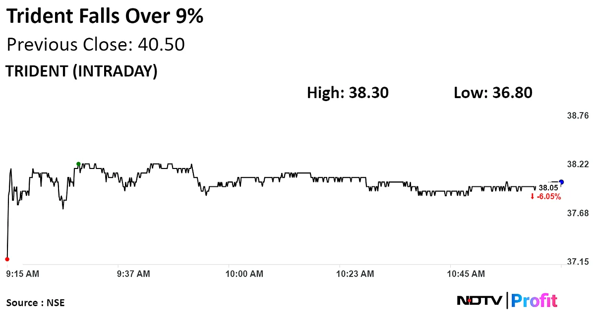 Trident At Over One-Week Low After Q4 Profit Declines
