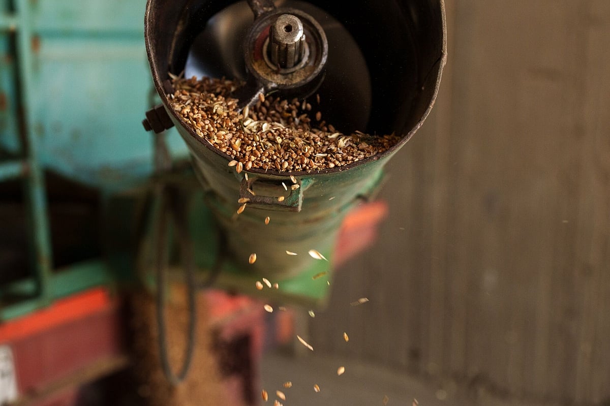 US Sees Tighter World Grain Supplies, Sending Prices Higher