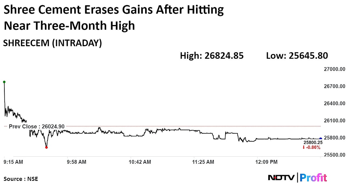 Shree Cement Volume Growth Likely To Peak In Monsoon, Says Chairperson