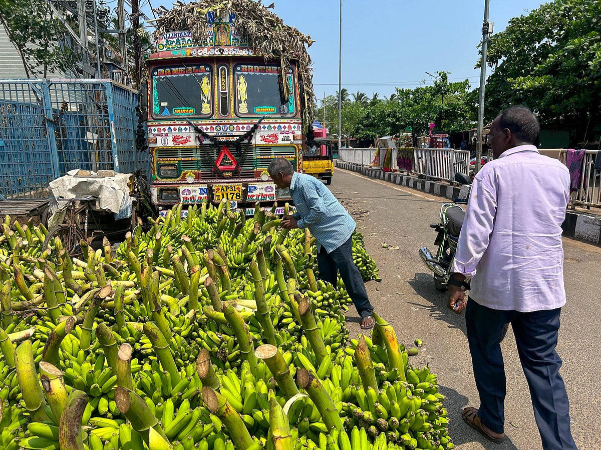 Wholesalers and retailers inspect banana bunches for signs of decay in Bhubaneswar, in Odisha, on May 11.Photographer: Pratik Parija/Bloomberg