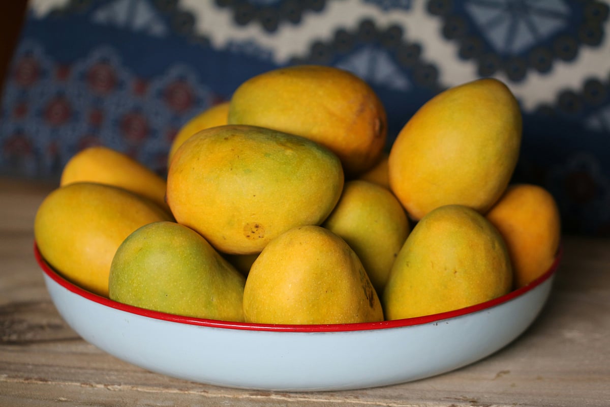 Not So 'Aam': India's Mango Season Marred By Low Yields, Soaring Prices