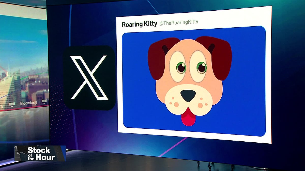 WATCH: Shares of Chewy and Petco soared after Keith Gill - known online as “Roaring Kitty” - posted a meme on X of a dog. Source: Bloomberg