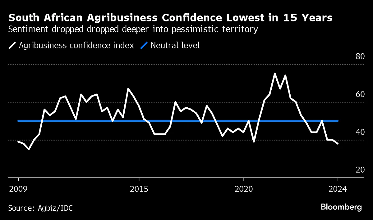 Source: Source: Agbiz/IDC