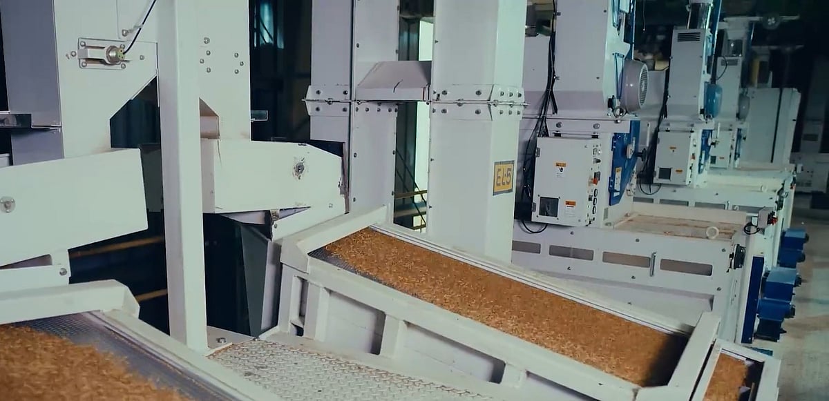 <div class="paragraphs"><p>Basmati rice grains are getting cleaned in LT Food's facility. (Photo Source: Official website of Daawat, LT Foods Ltd.'s famous basmati brand)</p></div>