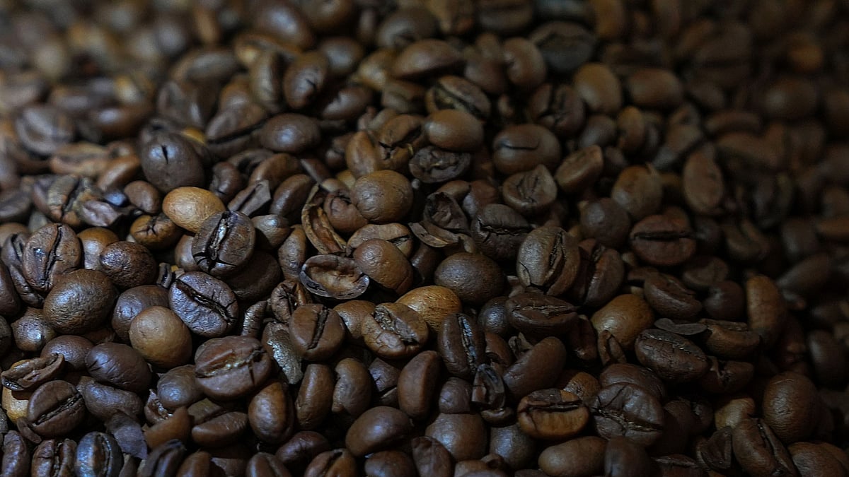 Nestle India Plans Coffee Price Hike as Cocoa Prices and Food Inflation