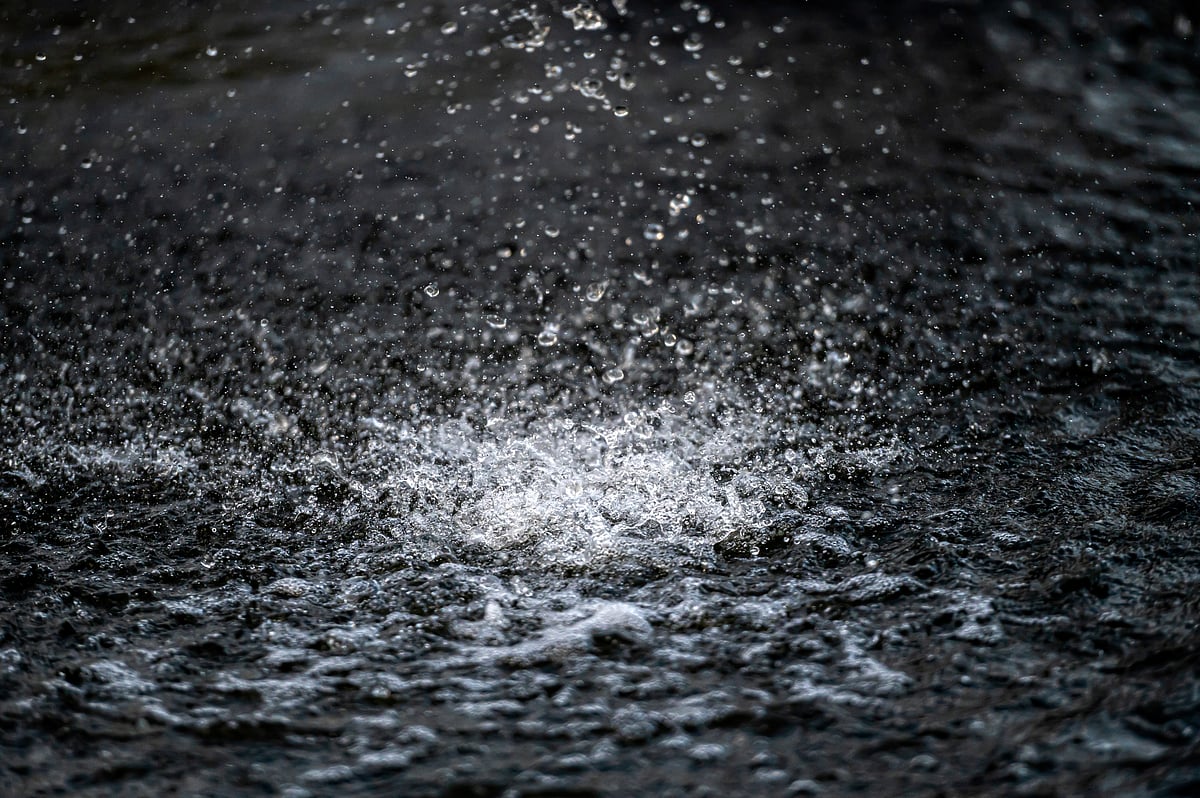 <div class="paragraphs"><p>Image For Representational Purposes</p><p>Source: Envato</p></div>