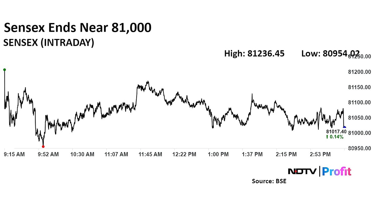Trade Setup For Aug. 23: Next Nifty Bull Run Hinges On Breach Above 24,950–24,960 Resistance