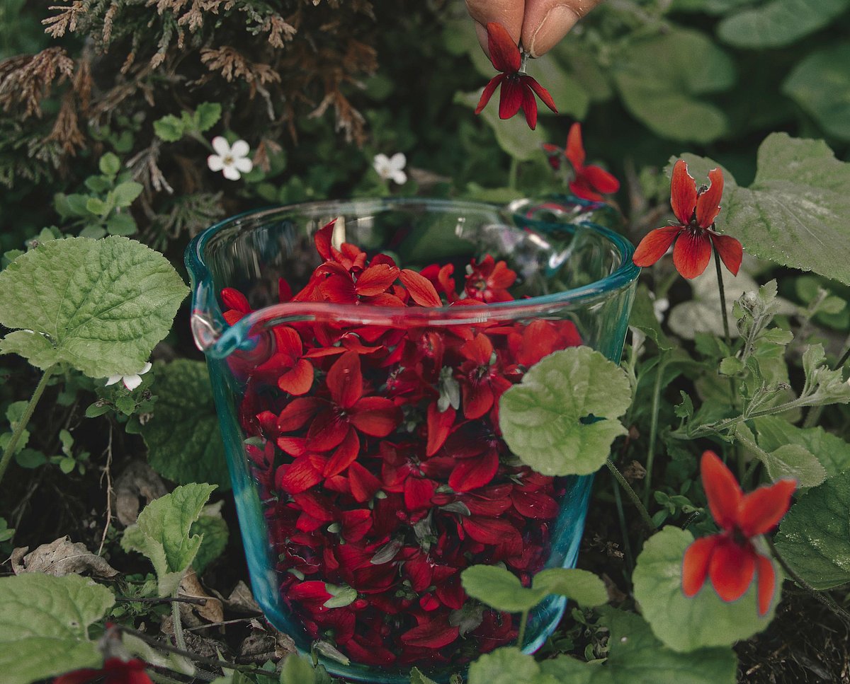 <div class="paragraphs"><p>(Source: Unsplash)</p></div>