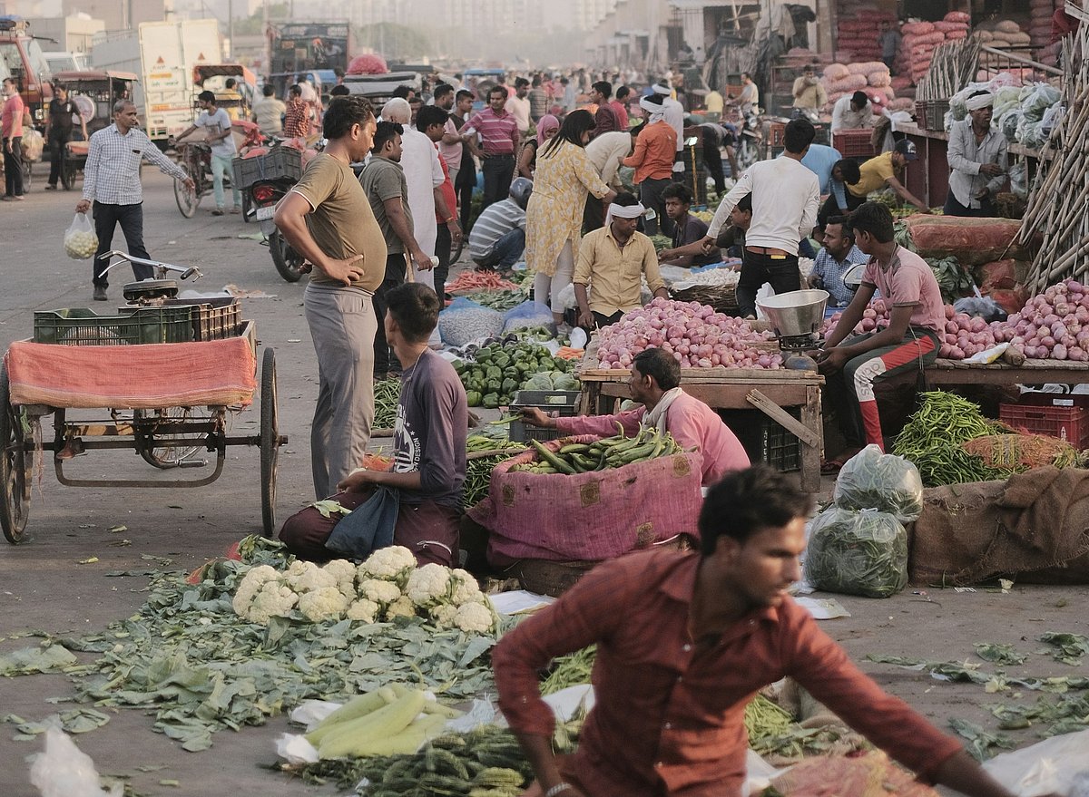 <div class="paragraphs"><p>(Source: Sehajpal Singh/ Unsplash)</p></div>