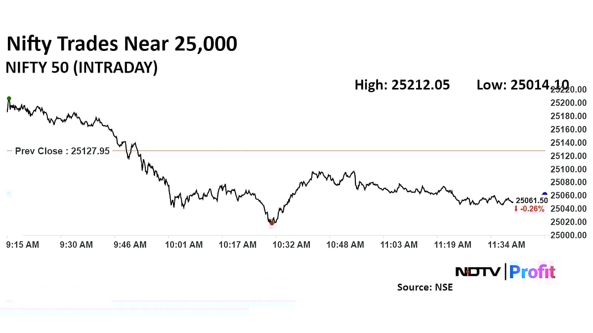 <div class="paragraphs"><p>The Nifty 50 was down 0.26% at 25,061.50.</p></div>