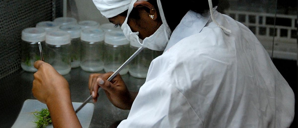 <div class="paragraphs"><p>Godavari Biorefineries Ltd.'s R&amp;D lab. (Source: Company website)</p></div>