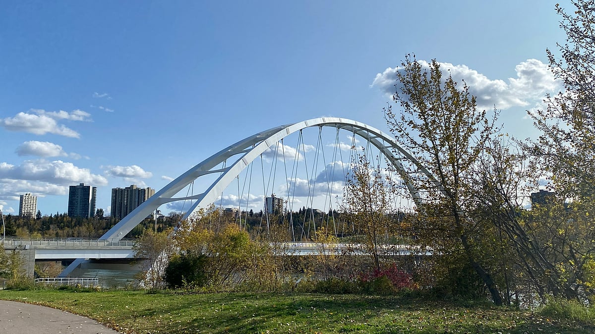 <div class="paragraphs"><p></p></div>