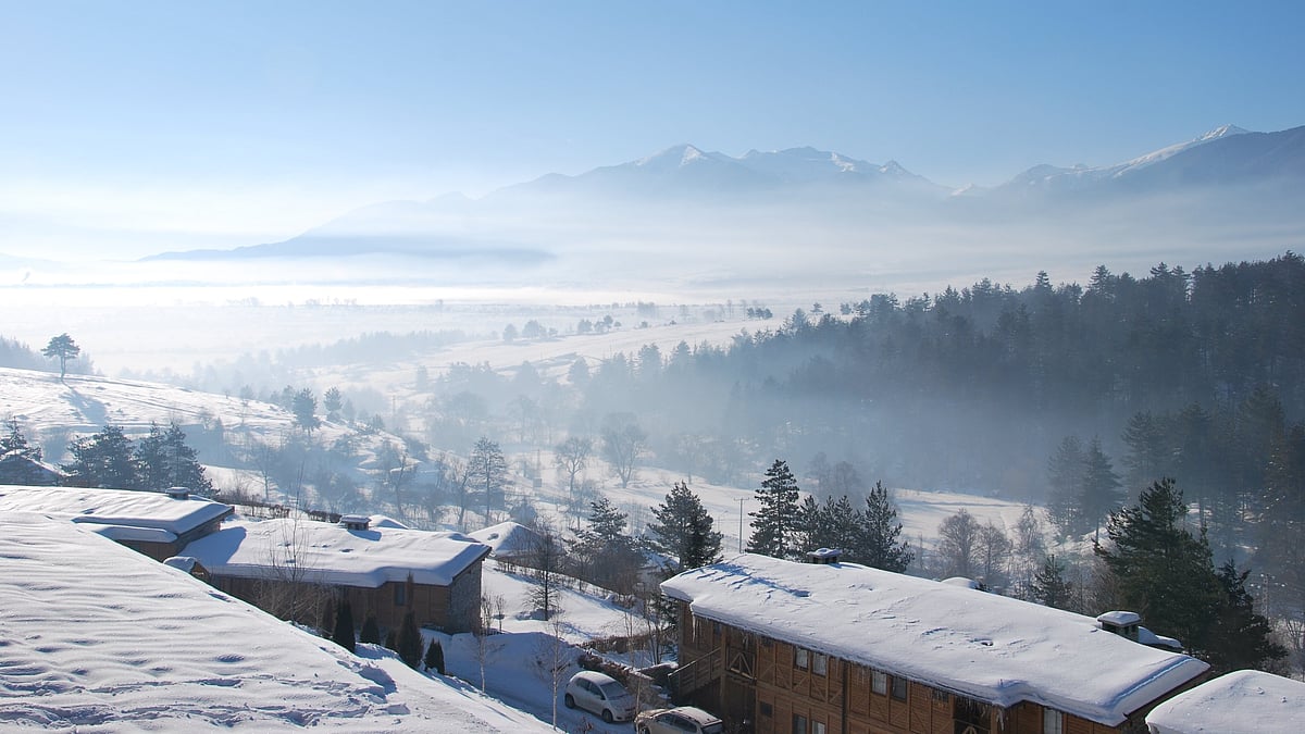 <div class="paragraphs"><p></p></div>