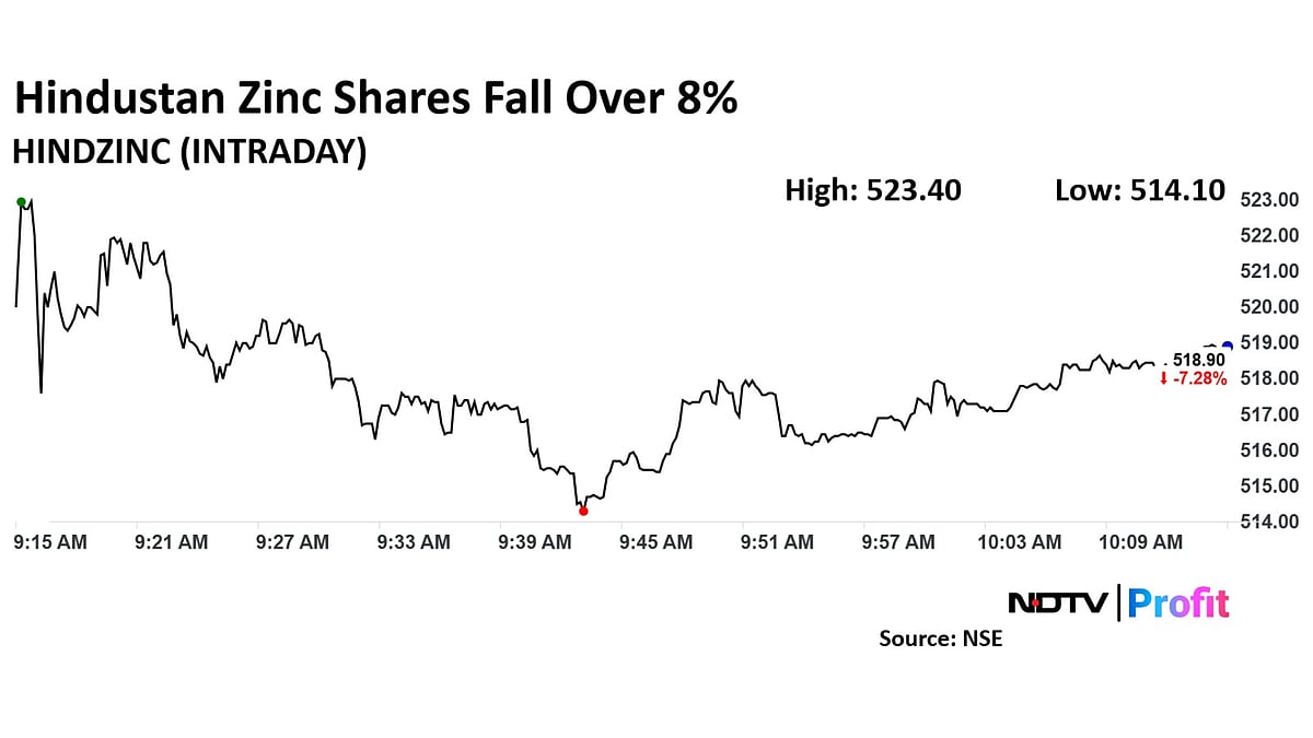 Hindustan Zinc Share Price Plunges As Government Plans To Divest 2.5% Stake