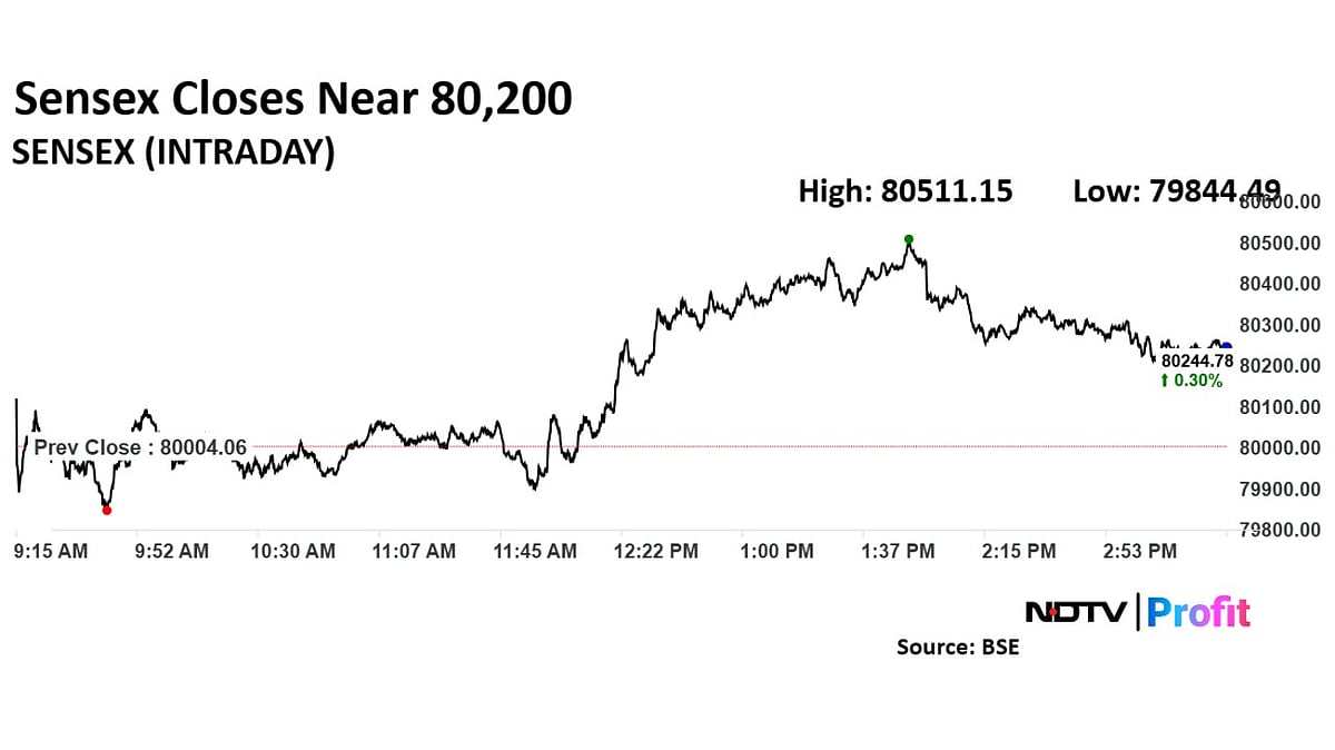 Trade Setup For Nov. 28: Nifty 50 Holding 24,150 Level Key For Upward Momentum