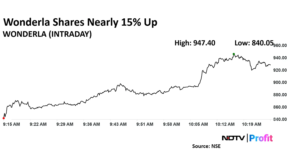 Wonderla Share Price Zooms As Amusement Park Chain Launches QIP