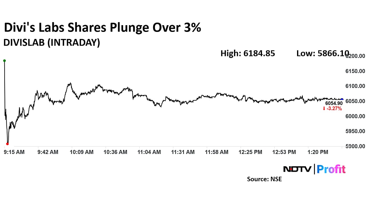 <div class="paragraphs"><p>Divi's Labs shares were hit in the aftermath of the US appeals court ruling against&nbsp;Novartis' petition.</p></div>