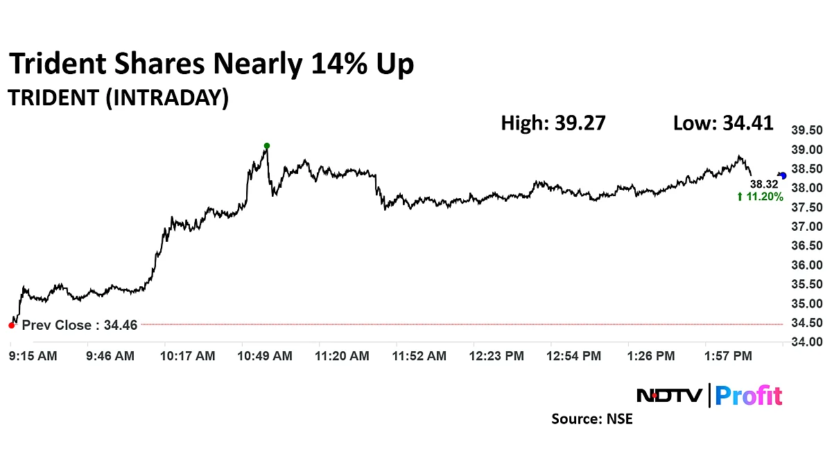 Trident Share Price Surges To Four-Month High On Fresh Investment Plans In Madhya Pradesh