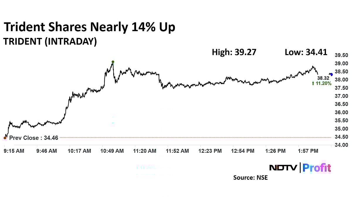 Trident Share Price Surges To Four-Month High On Fresh Investment Plans In Madhya Pradesh