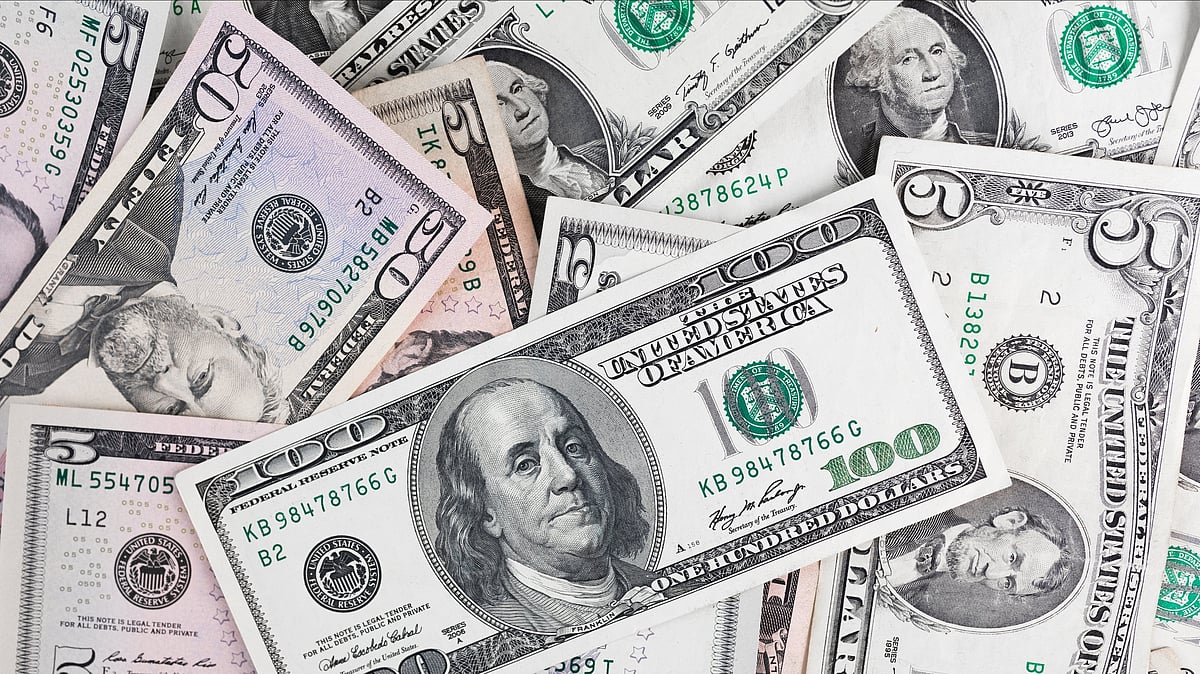 <div class="paragraphs"><p>Domestic institutional investors net purchased shares worth Rs 2,889.32 crore, bringing their buying spree to close to 52 sessions.&nbsp; (IPhoto source: Envato)</p></div>