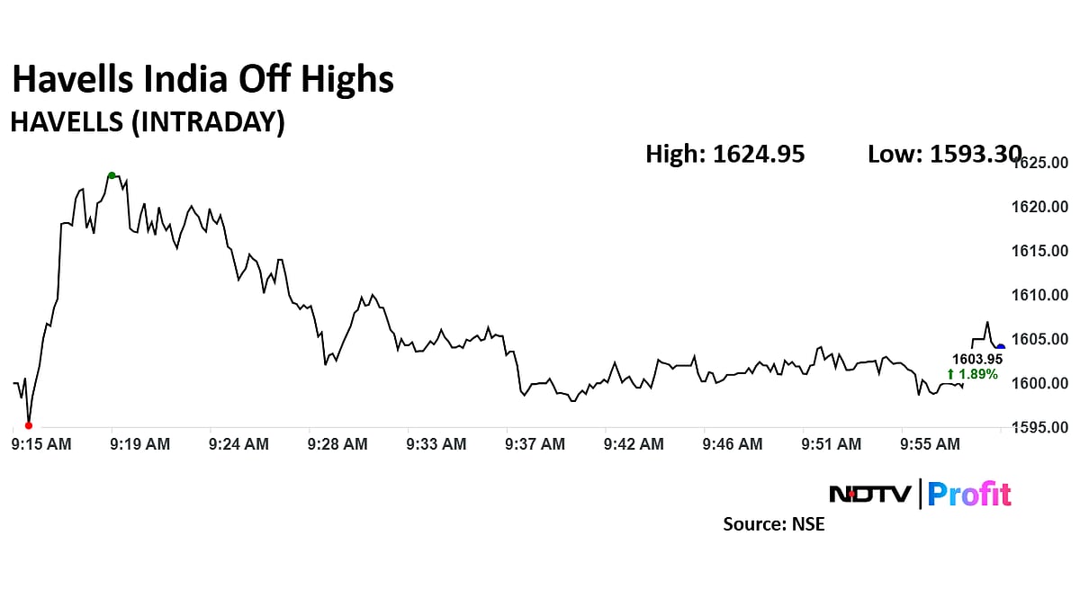 Havells Q3 Results Review: Brokerages Slash Target Price On Revenue Miss