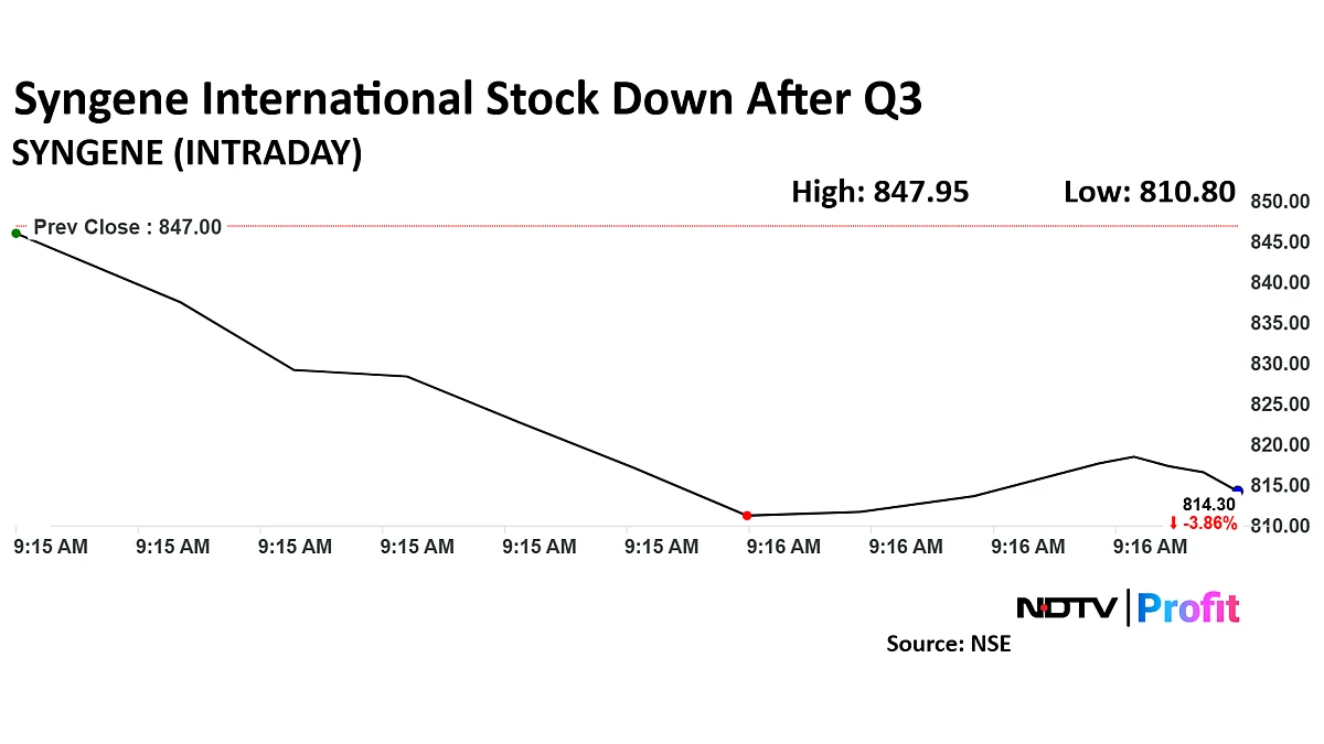 Syngene International Share Price Down After FY25 Revenue Guidance Lowered