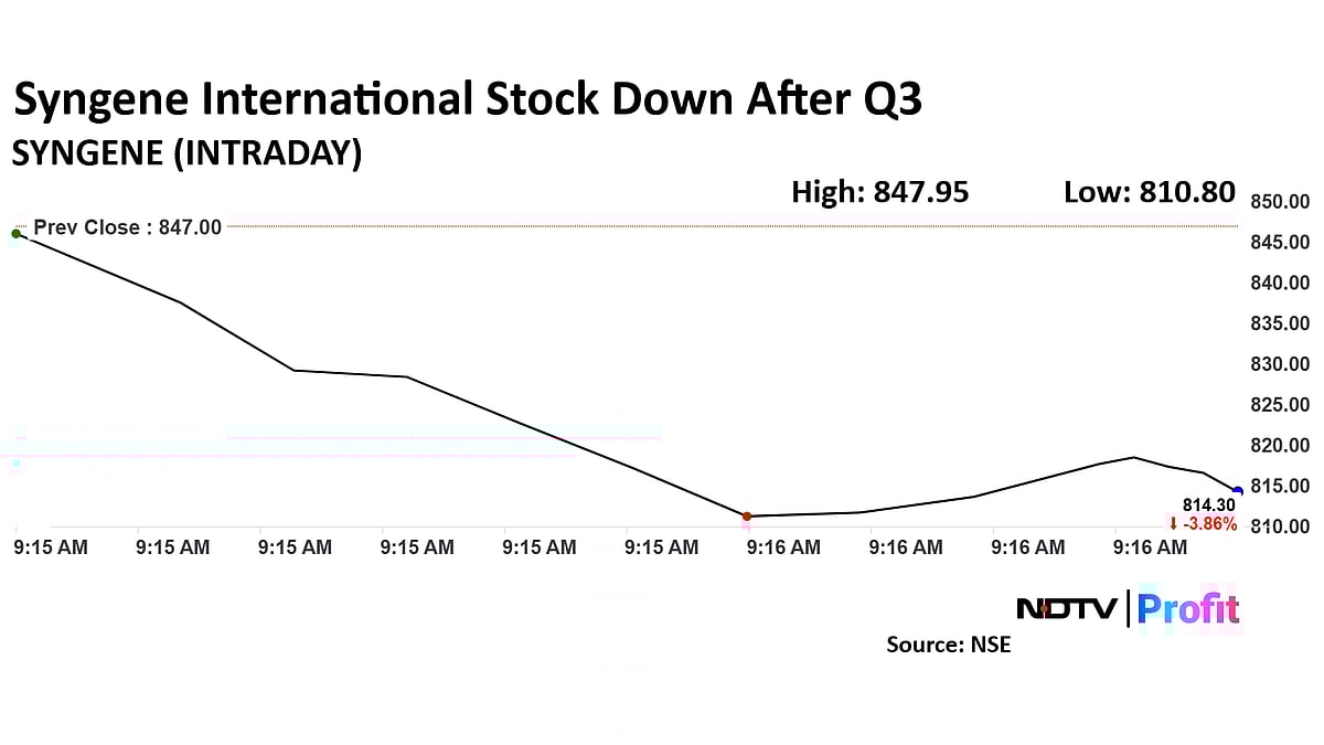 Syngene International Share Price Down After FY25 Revenue Guidance Lowered