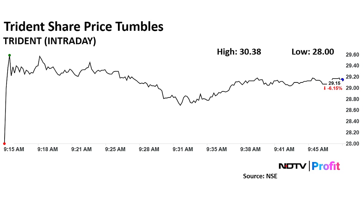 Trident Share Price Hits Nearly Two-Year Low As Q3 Net Profit Declines