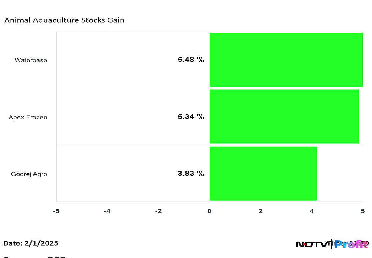 Budget 2025: Waterbase, Apex Frozen Foods, Godrej Agrovet Shares Surge