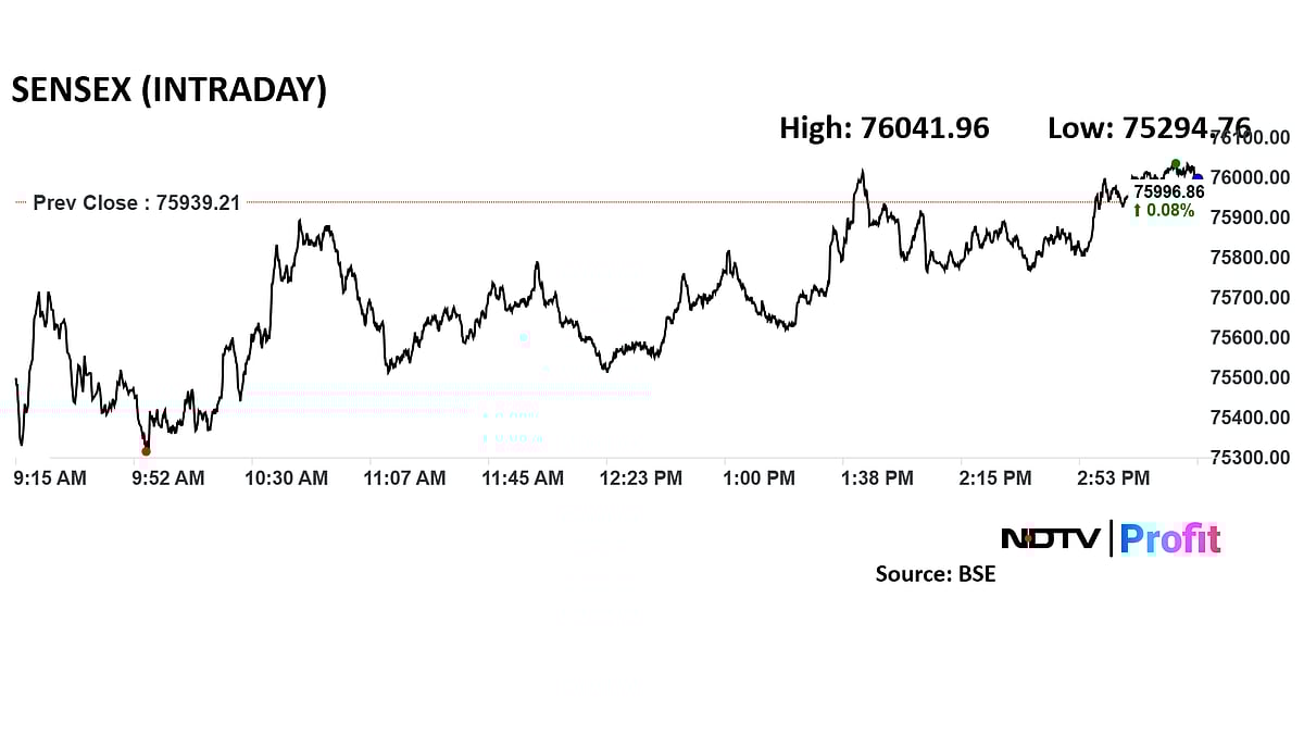 Stock Market Highlights: Nifty, Sensex Pause Eight-Day Decline; Pharma, Metals Rally
