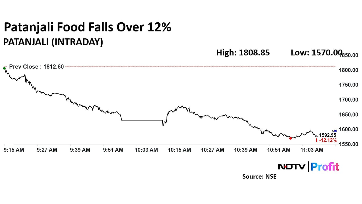 Patanjali Foods Share Price Plunges After F&O Inclusion