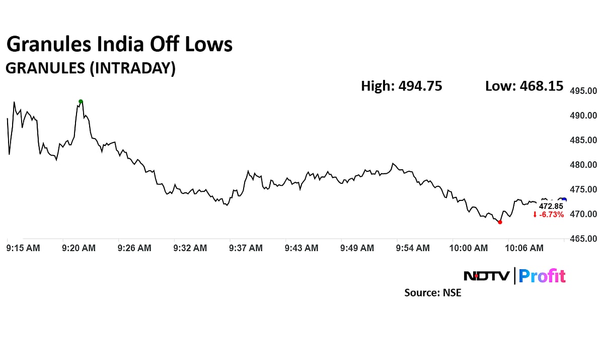 Granules India Share Price Hits Over Eight-Month Low After US FDA Issues Warning 