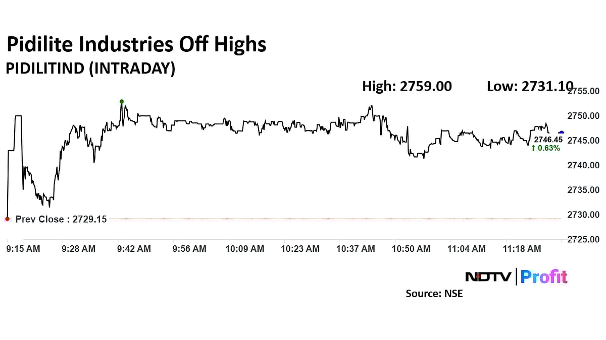 Pidilite Industries' Growth Plan Fails To Sway Analysts On Demand Concerns