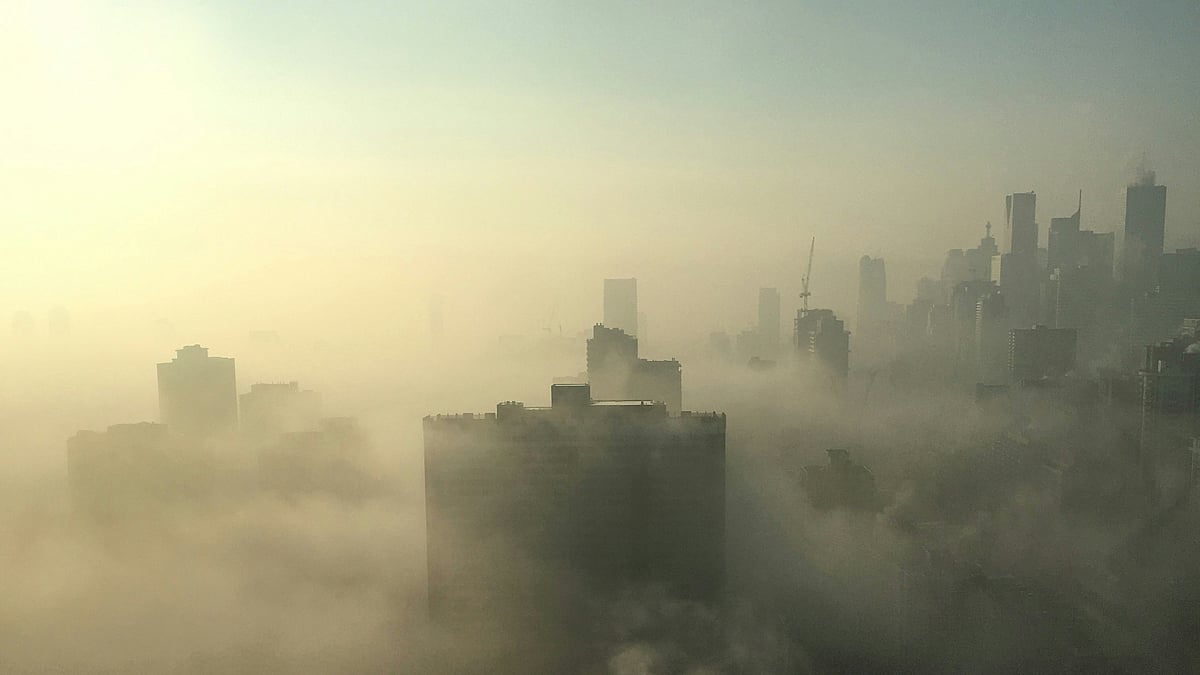 <div class="paragraphs"><p>The Parliamentary Standing Committee on Science and Technology, Environment, Forests, and Climate Change expressed shock at the government's inaction.(Photo Source: Unsplash)</p></div>