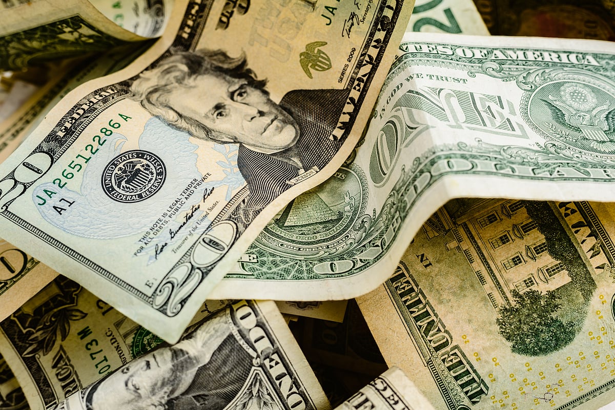 <div class="paragraphs"><p>Domestic institutional investors remained net buyers for the fourth consecutive session on Wednesday, as they mopped up equities worth Rs 2,808.83 crore.(Photo Source: Envato)</p></div>